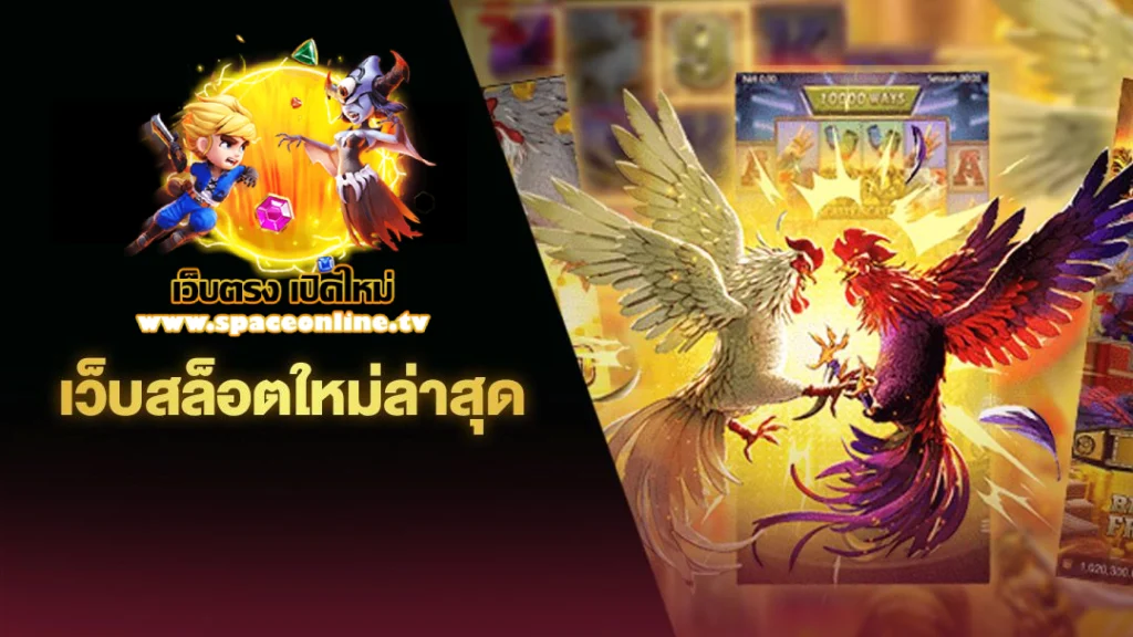เว็บ ตรง ใหม่ ล่าสุด