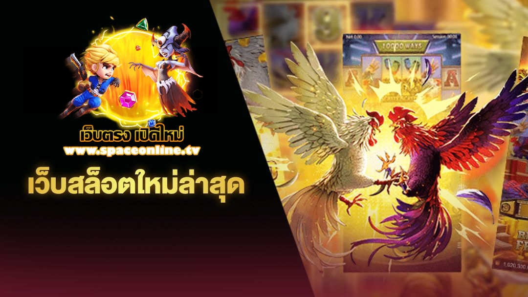 เว็บ ตรง ใหม่ ล่าสุด